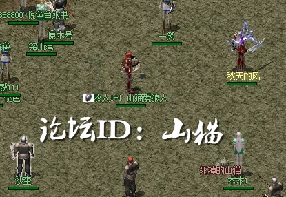 山猫.jpg