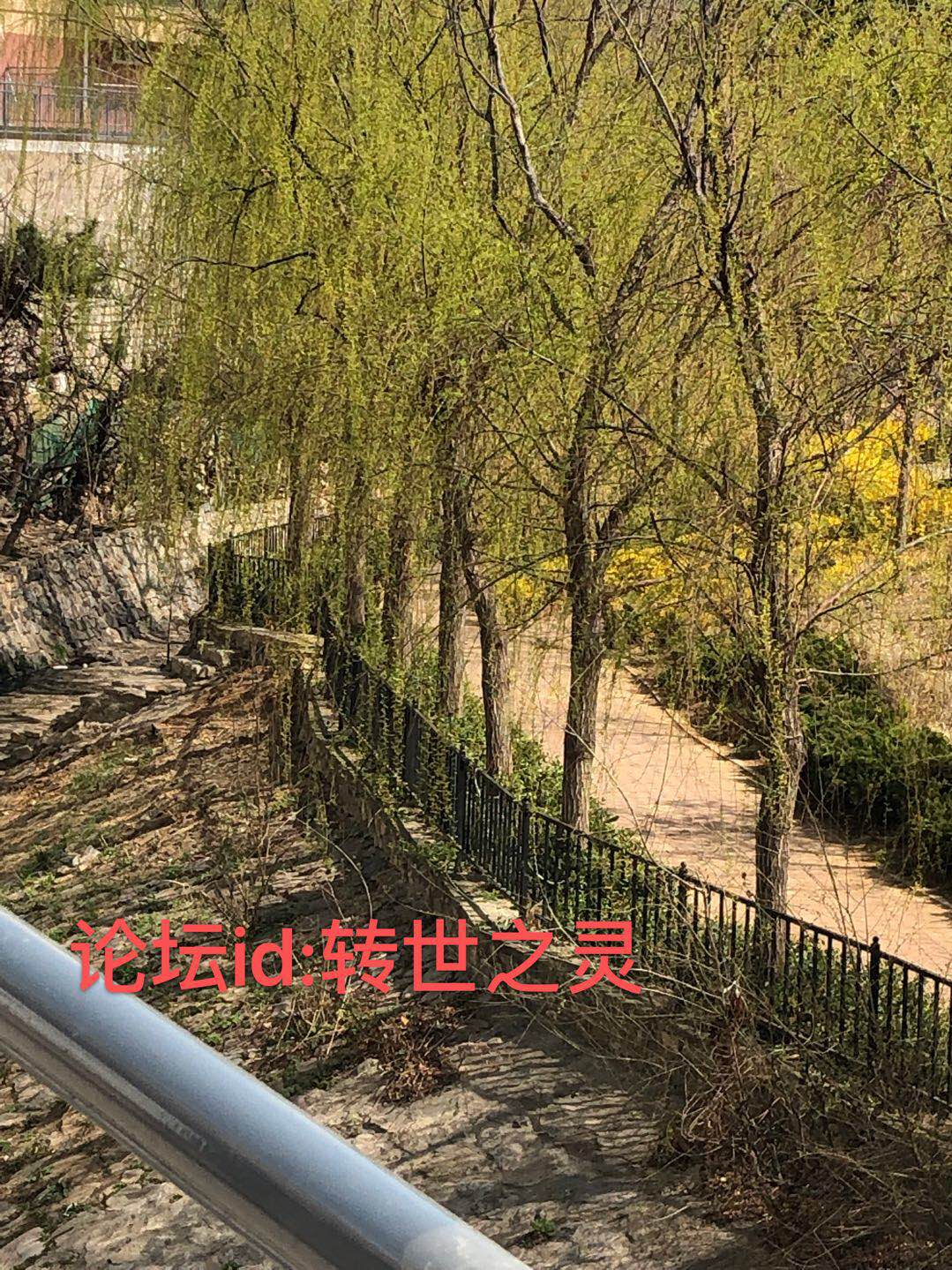 微信图片_20190404182755.jpg