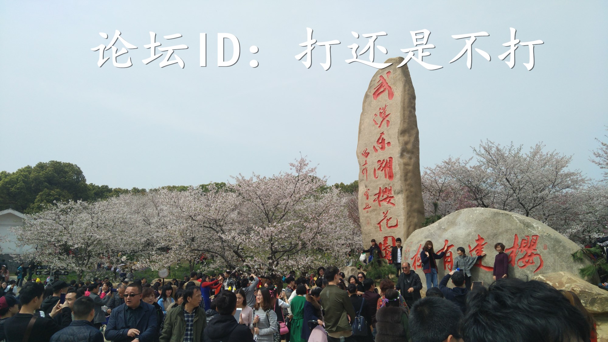 IMG_20170325_134902_副本.jpg