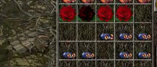 黑花.png
